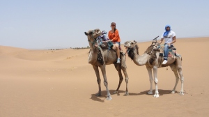On Camels